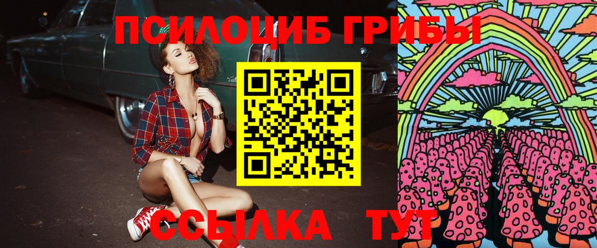 Псилоцибиновые грибы мицелий Павлово