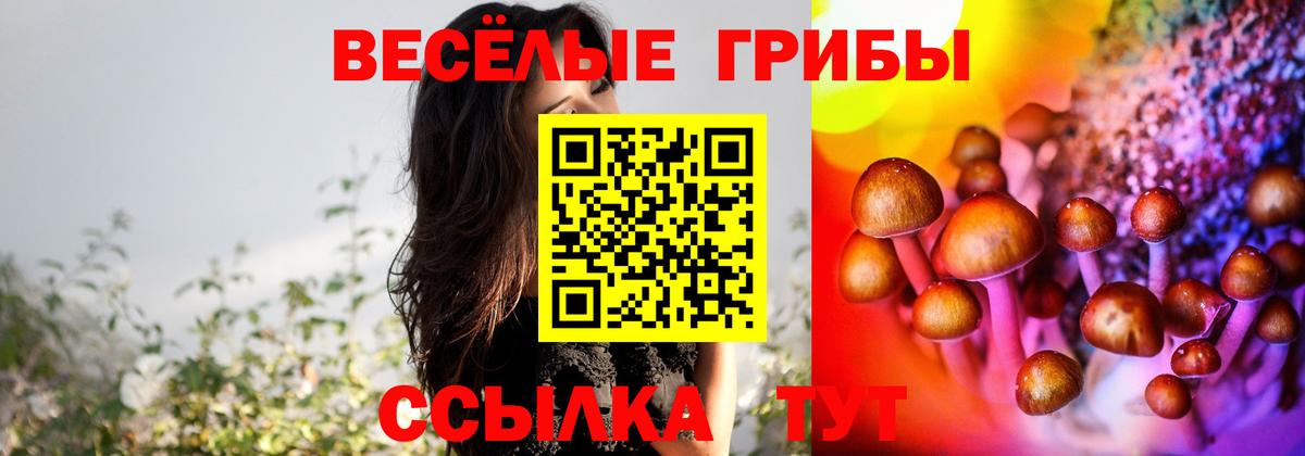 Павлово  Псилоцибиновые грибы прущие грибы  Вход с VPN 