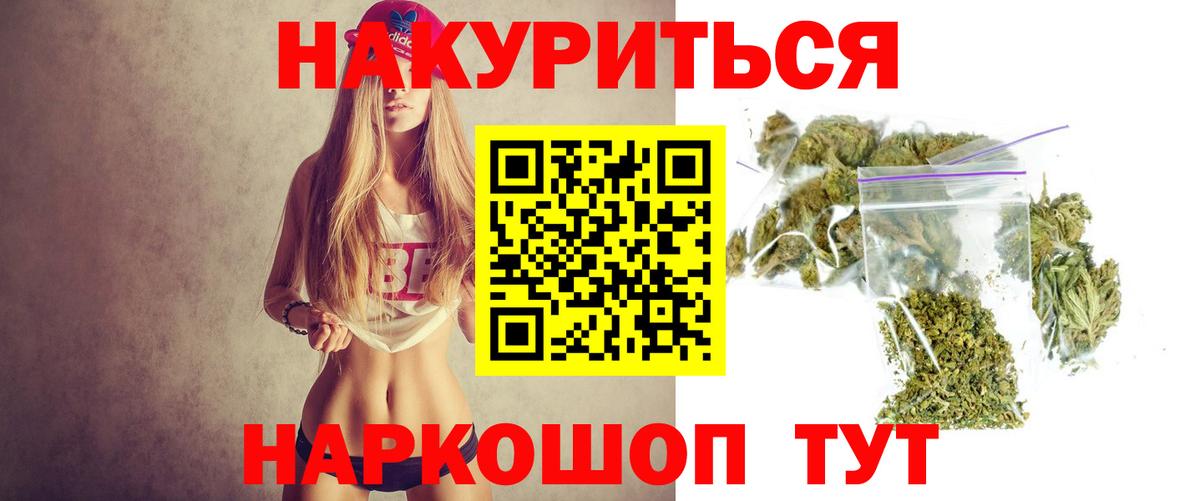 Каннабис планчик Павлово